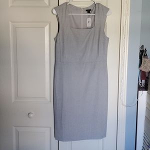 NWT Ann Taylor Dress